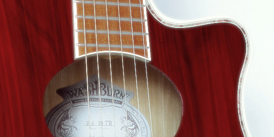 3D Washburn Acoustic Guitar 2